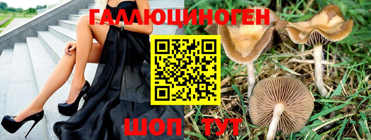 Краснокаменск  Галлюциногенные грибы MAGIC MUSHROOMS  Галлюциногенные грибы прущие грибы  Вход с VPN 