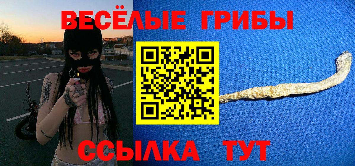 Псилоцибиновые грибы GOLDEN TEACHER Краснокаменск